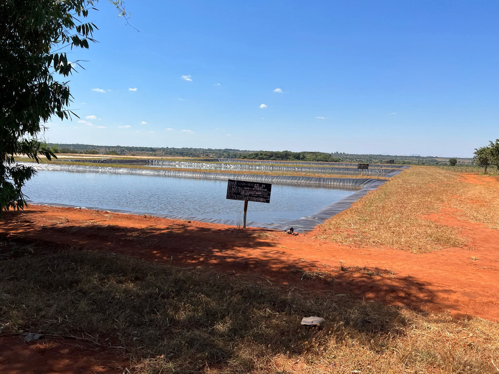 ponds in malawi
