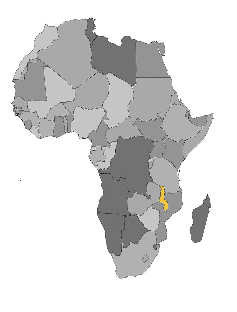 malawi highlighted in map of africa